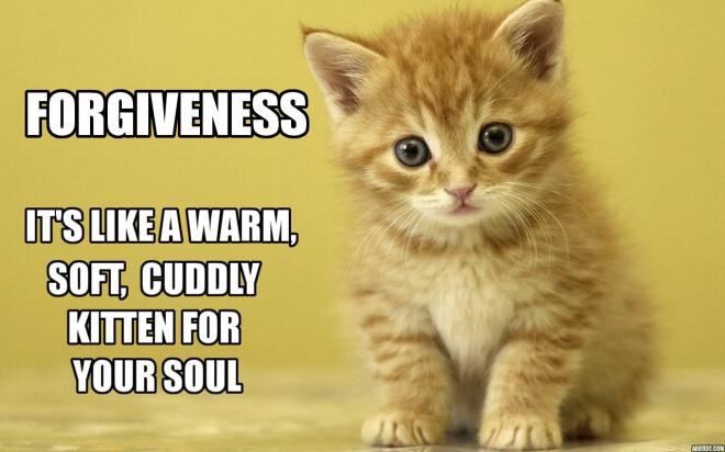 forgiveness kitten